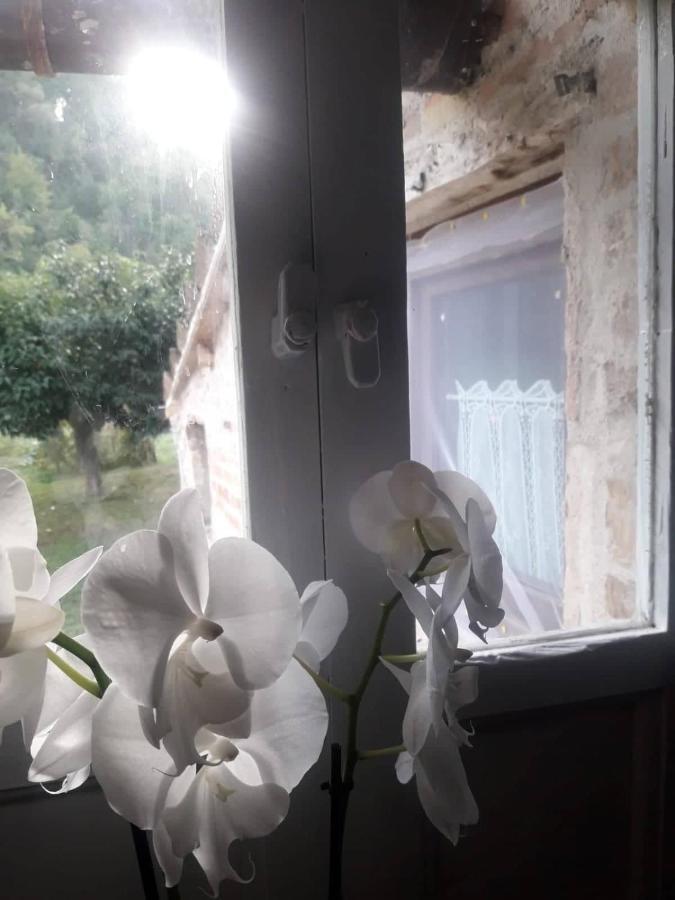 Il Giardino Dei Sogni Bed and Breakfast Montefortino Exteriör bild